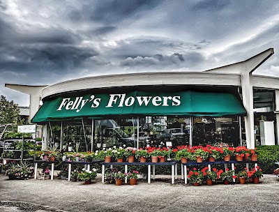 Felly's Flowers